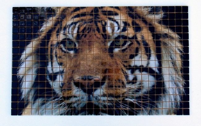 HD glass mosaic tiles Lion