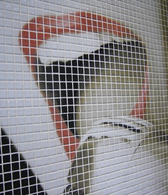 Glass mosaic hd decoration04_3