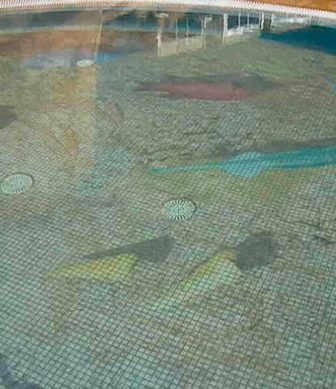 Glass mosaic hd pools01_03