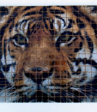 HD glass mosaic tiles Lion