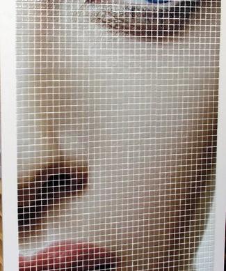 HD glass mosaic tiles Women face