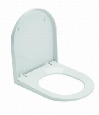 City Toilet seat