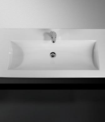 Wash Basin Palm
