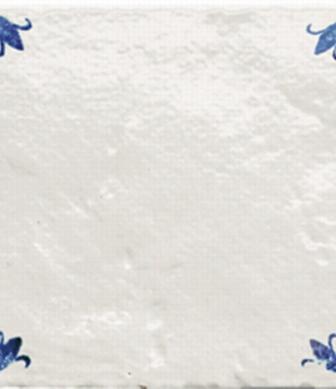 Provenzale D1521Bb