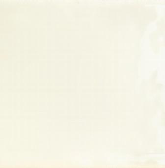 Silk 77631